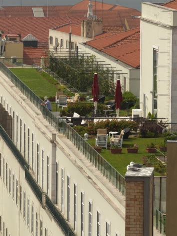 Rooftop Garden